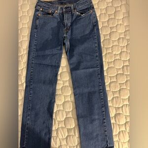 Levi's Men's Blue Jeans
